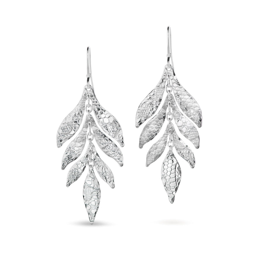 Lacewing